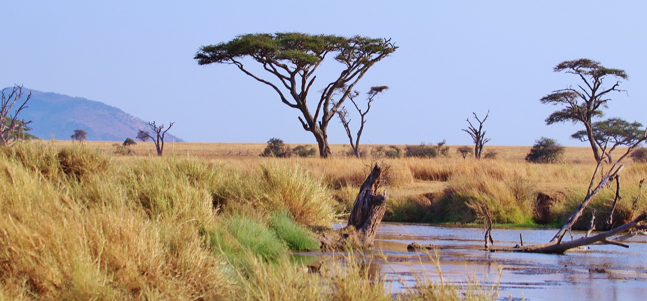 tanzania-278367_1280